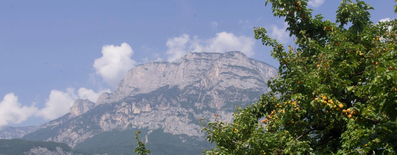 Propriet&agrave; e dintorni dell'Agritur Piffer
